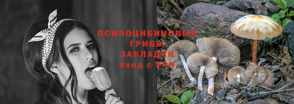 винт Алзамай